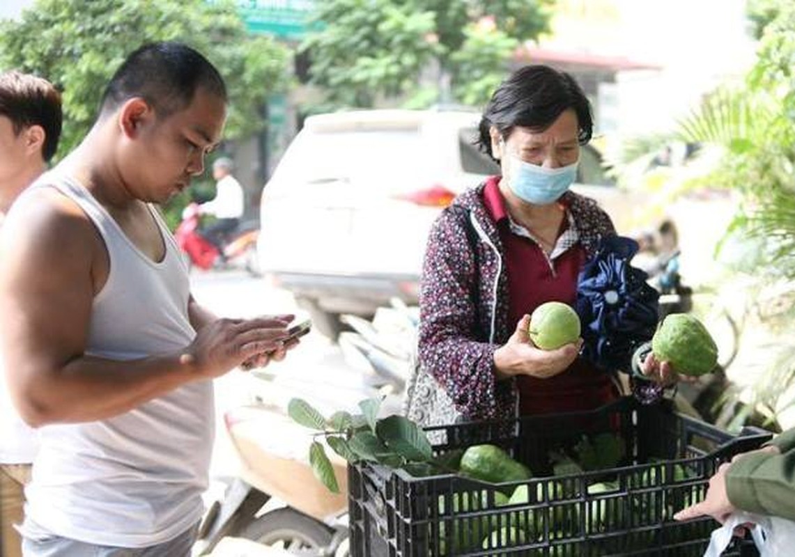 Kinh doanh that bai Le Roi ban oi o Ha Noi-Hinh-9